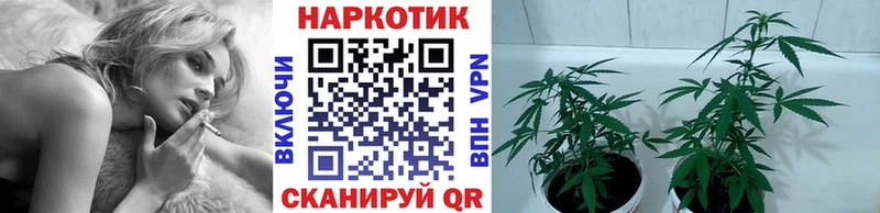 Магазины продажи наркотиков Городовиковск KRAKEN   ГАШ  Cocaine  АМФ 