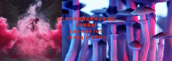 мет Арсеньев