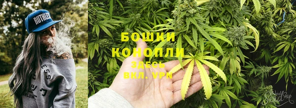 мет Арсеньев