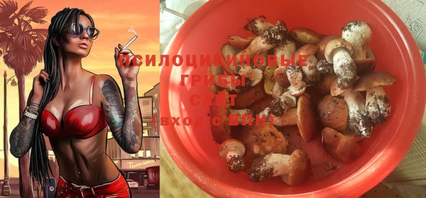 мет Арсеньев