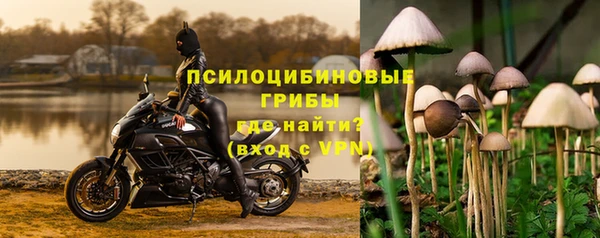 стафф Аркадак